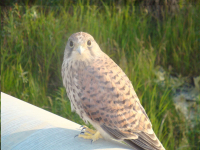 Красивый Кадр=)