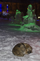 сторож ледяных скульптур...