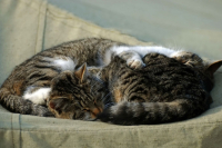 Про любофф.....