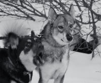 Я бываю такая разная: то капризная, то прекрасная…