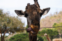 улыбаемся)))