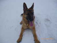 Норд Штольц ЗАЭЛЬ