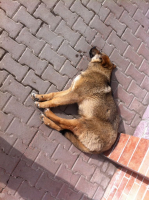 Хороший загар начинается с марта