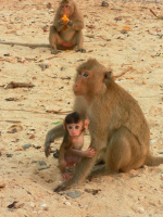 Мать и дитя