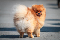 Моё солнышко ;)