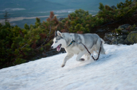 Больше радости!