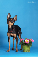 Я той и этим все сказанно !