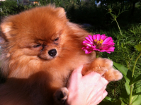 Тосенька на даче ))