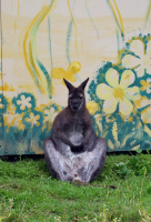 Жизнь удалась! :)