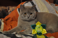 Наша первая награда!:)