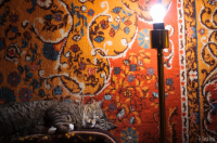 Майа и лампа