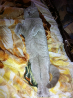 Вот так мы спали в детстве.