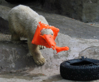 Играет в слоника