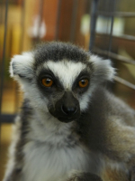 В глаза смотреть!!