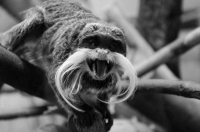 В глаза мне смотри !!!!