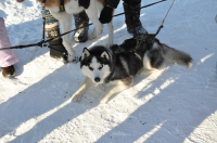 Семки есть??