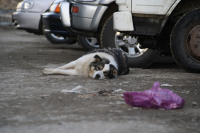 про созерцание...