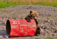 фкусняшки кончились (