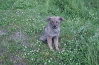 Шоколад "Бабаевский"