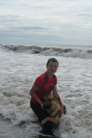 Купание серого коня.