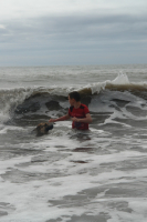 Купание серого коня