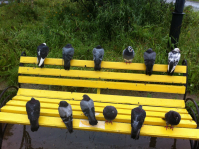 Ровные пацанчики