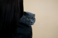 а я всё вижу=)