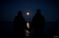 Below the Cherry Moon