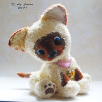 сиамский котенок