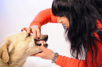 отдай мою котлету