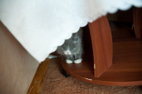 что смотришь, живу я здесь )