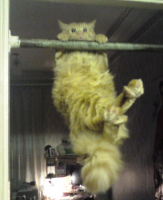 Полетаем....