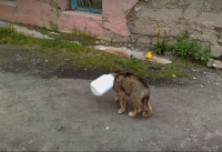 Заблудший...