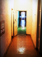 система образования