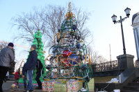 Ёлки Кубани - 3