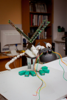 IT-шный символ года