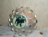 Щит для влюбленного в Кане Корсо