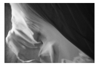 в поисках утраченного